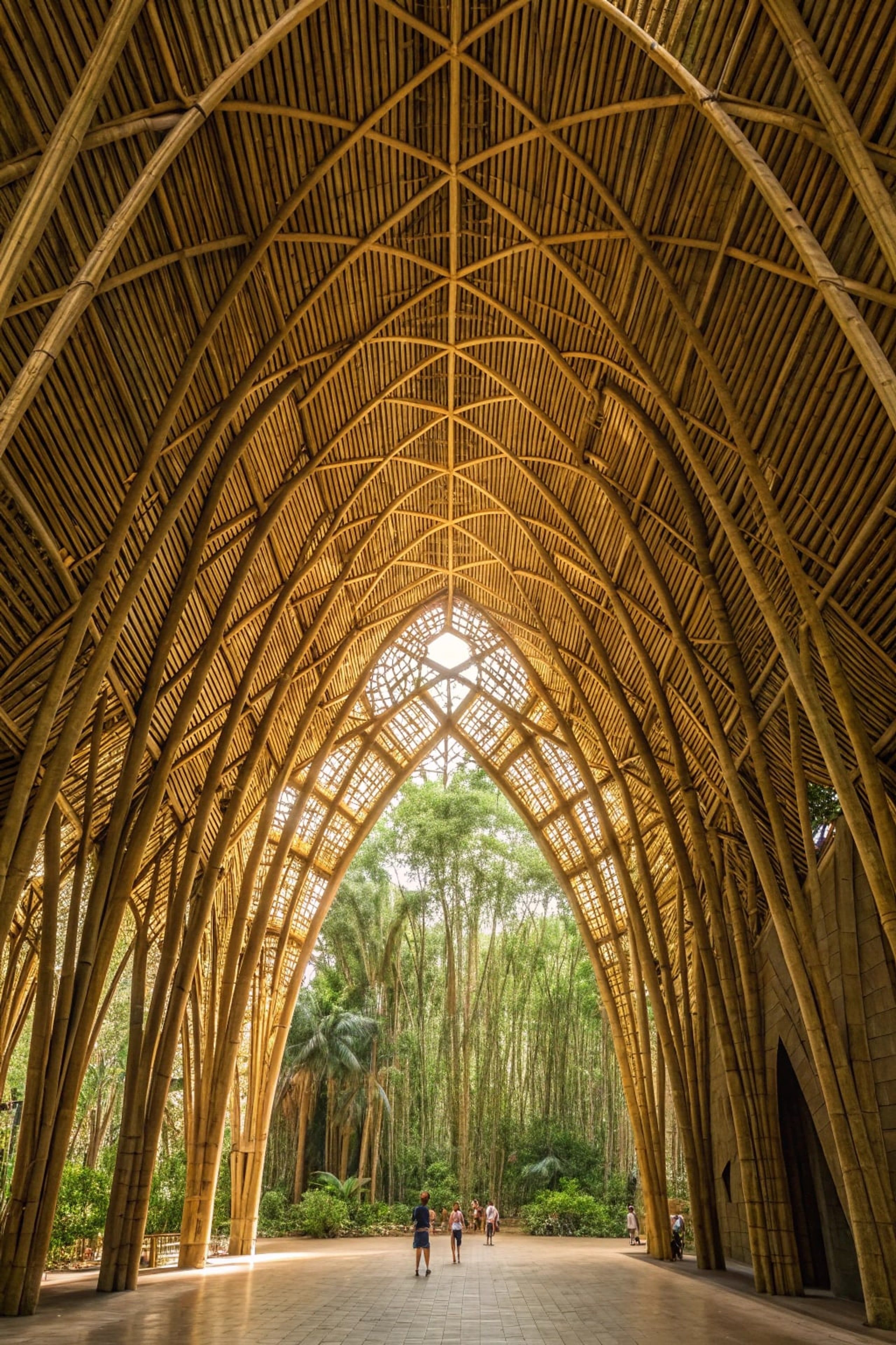 Vaulted bamboo cathedral interior with light filtering through the woven roof.